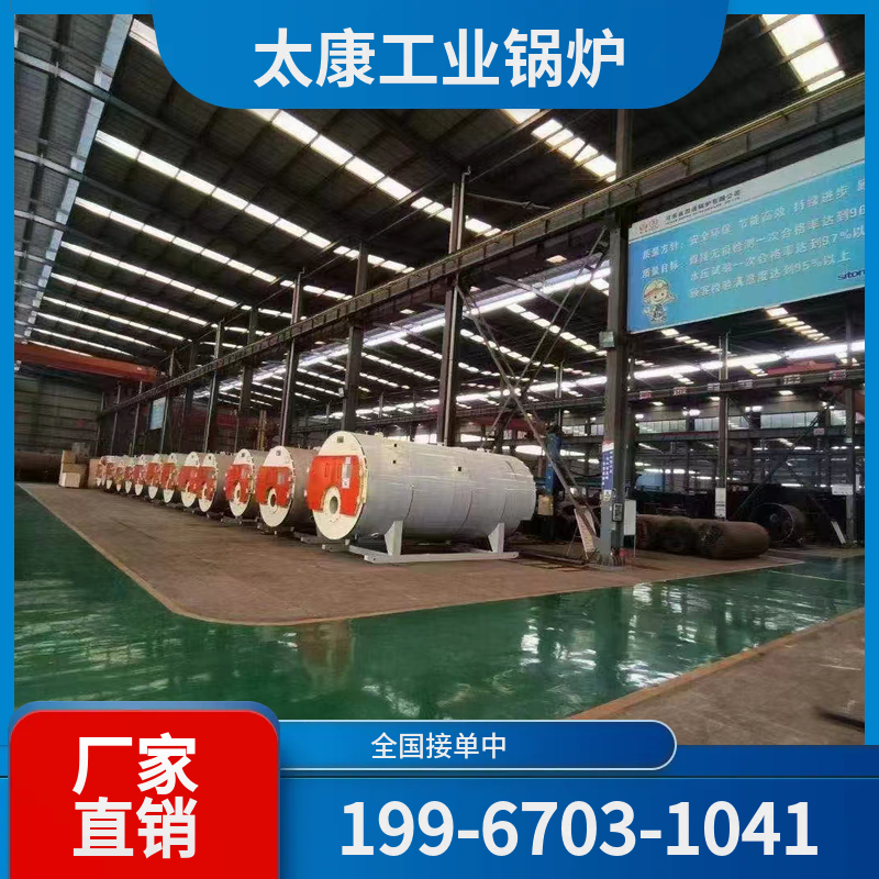 娄底生物质导热油锅炉